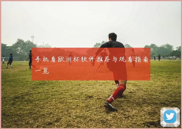 手机看欧洲杯软件推荐与观看指南一览