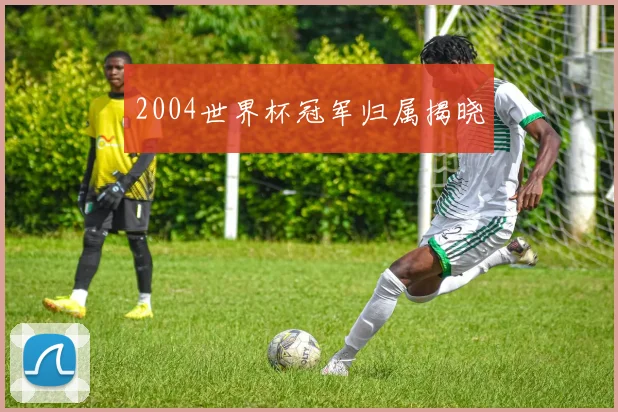 2004世界杯冠军归属揭晓