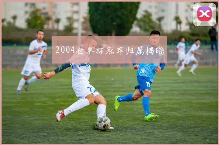2004世界杯冠军归属揭晓