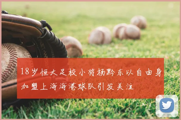 18岁恒大足校小将杨黔东以自由身加盟上海海港球队引发关注