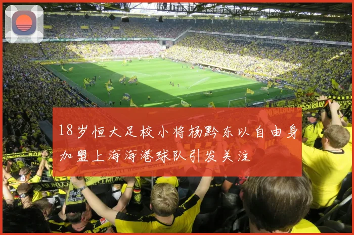 18岁恒大足校小将杨黔东以自由身加盟上海海港球队引发关注
