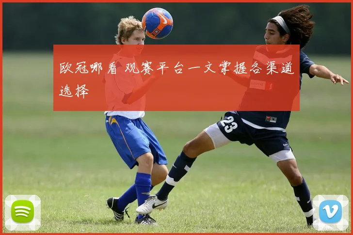 欧冠哪看 观赛平台一文掌握各渠道选择
