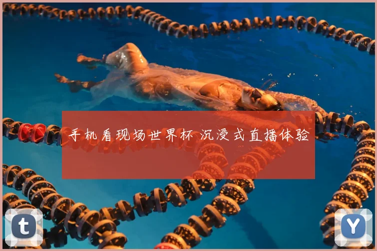 手机看现场世界杯 沉浸式直播体验