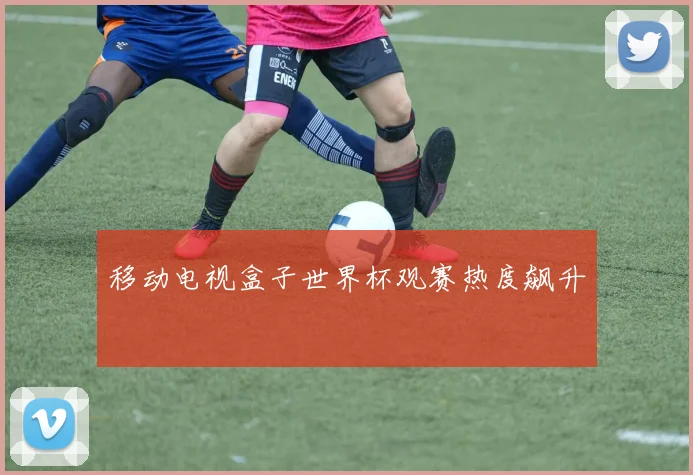 移动电视盒子世界杯观赛热度飙升