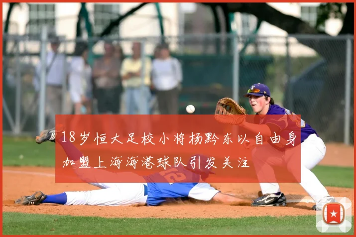 18岁恒大足校小将杨黔东以自由身加盟上海海港球队引发关注