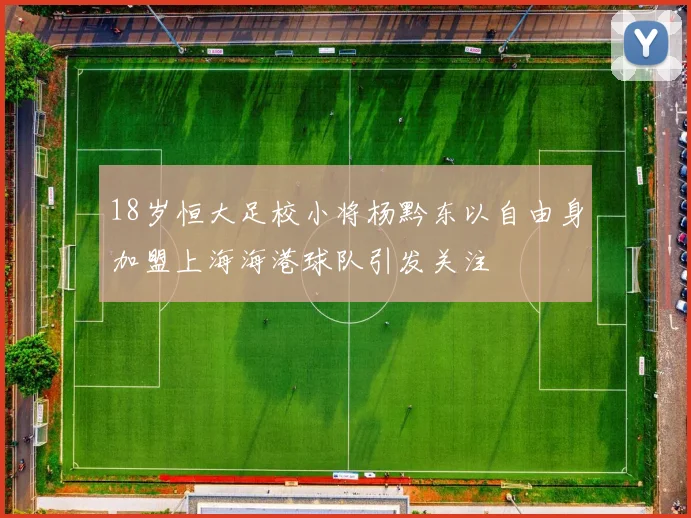 18岁恒大足校小将杨黔东以自由身加盟上海海港球队引发关注