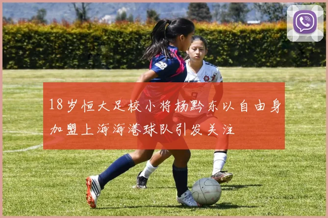 18岁恒大足校小将杨黔东以自由身加盟上海海港球队引发关注