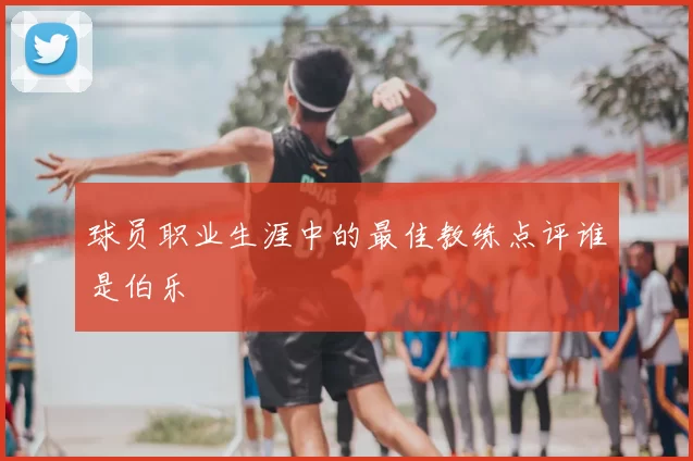 球员职业生涯中的最佳教练点评谁是伯乐