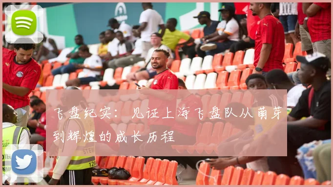 飞盘纪实：见证上海飞盘队从萌芽到辉煌的成长历程