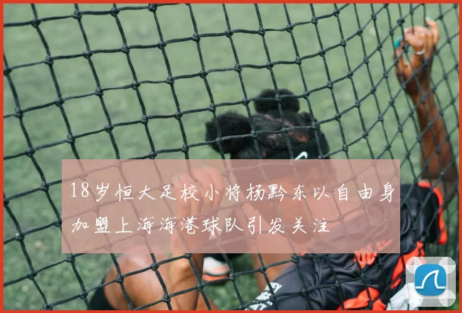 18岁恒大足校小将杨黔东以自由身加盟上海海港球队引发关注