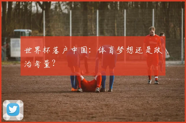 世界杯落户中国：体育梦想还是政治考量？