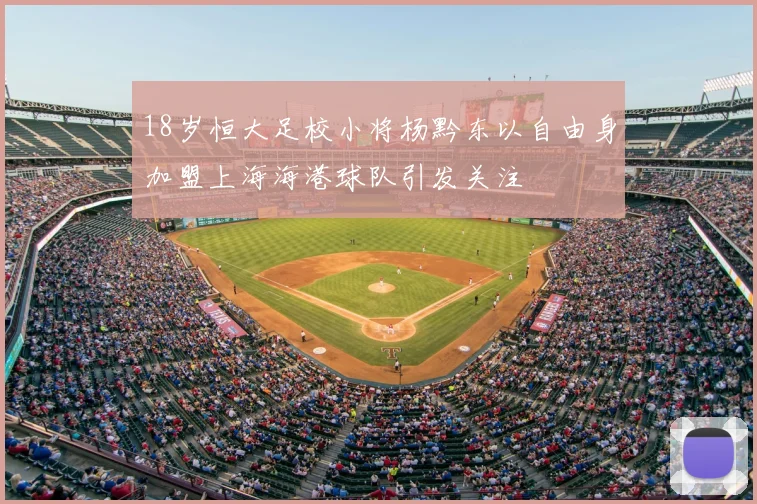 18岁恒大足校小将杨黔东以自由身加盟上海海港球队引发关注