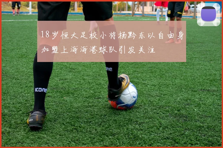 18岁恒大足校小将杨黔东以自由身加盟上海海港球队引发关注