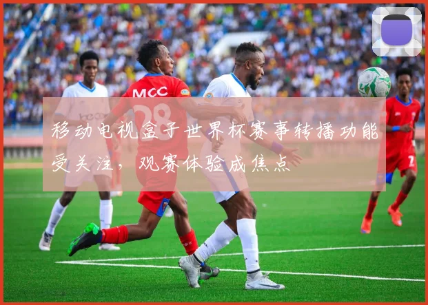 移动电视盒子世界杯赛事转播功能受关注，观赛体验成焦点