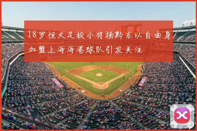 18岁恒大足校小将杨黔东以自由身加盟上海海港球队引发关注