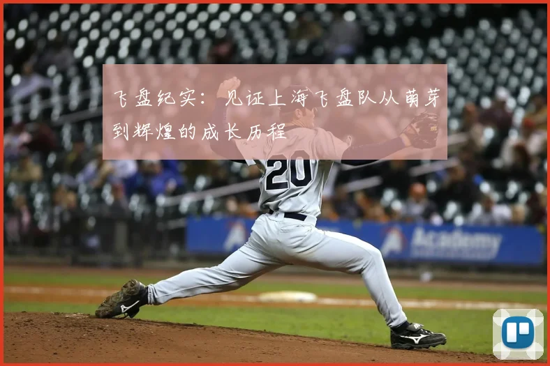 飞盘纪实：见证上海飞盘队从萌芽到辉煌的成长历程