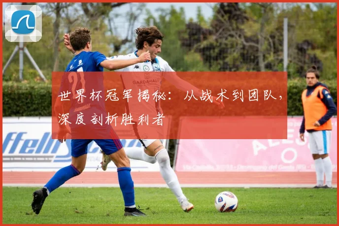 世界杯冠军揭秘：从战术到团队，深度剖析胜利者