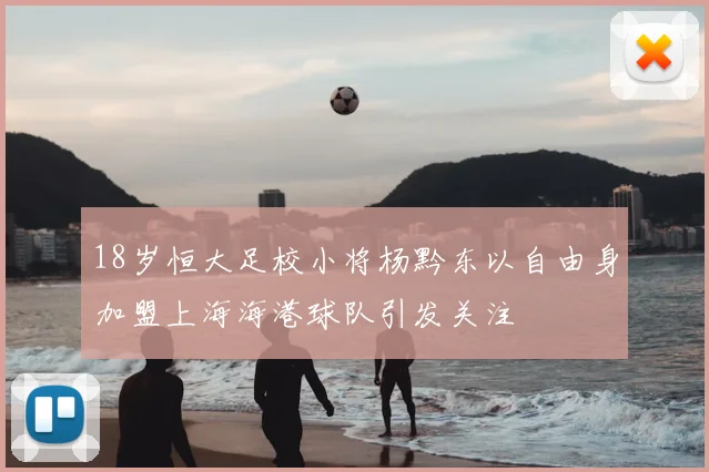 18岁恒大足校小将杨黔东以自由身加盟上海海港球队引发关注