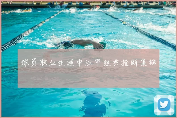 球员职业生涯中法甲经典抢断集锦