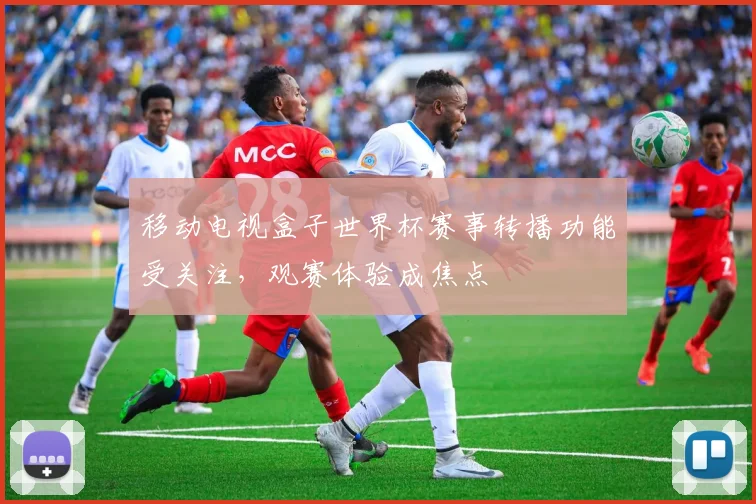 移动电视盒子世界杯赛事转播功能受关注，观赛体验成焦点