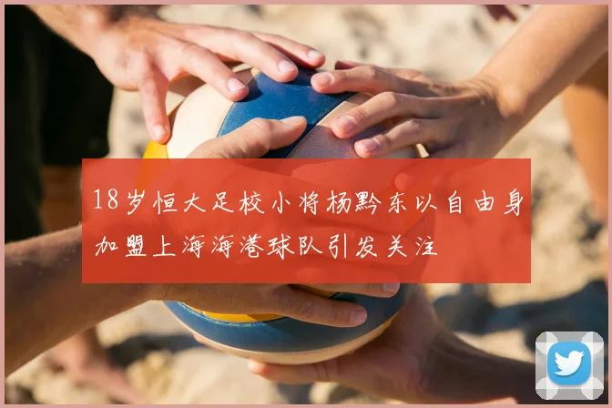 18岁恒大足校小将杨黔东以自由身加盟上海海港球队引发关注