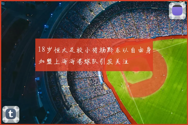 18岁恒大足校小将杨黔东以自由身加盟上海海港球队引发关注
