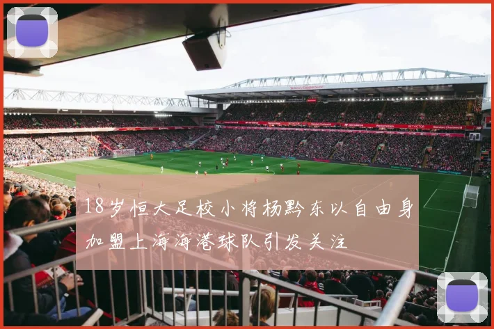 18岁恒大足校小将杨黔东以自由身加盟上海海港球队引发关注