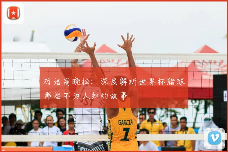 对话高晓松：深度解析世界杯赌球那些不为人知的故事