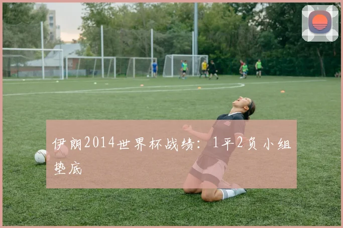 伊朗2014世界杯战绩：1平2负小组垫底