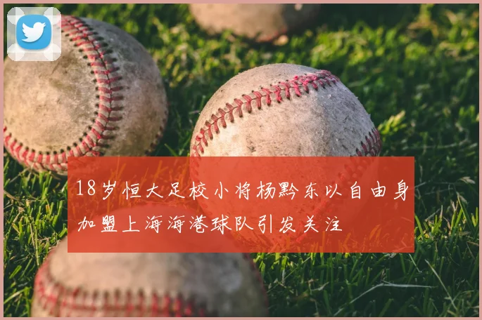 18岁恒大足校小将杨黔东以自由身加盟上海海港球队引发关注