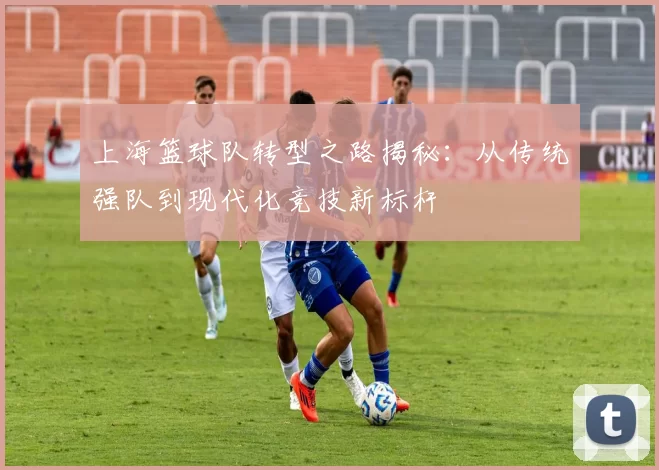 上海篮球队转型之路揭秘：从传统强队到现代化竞技新标杆