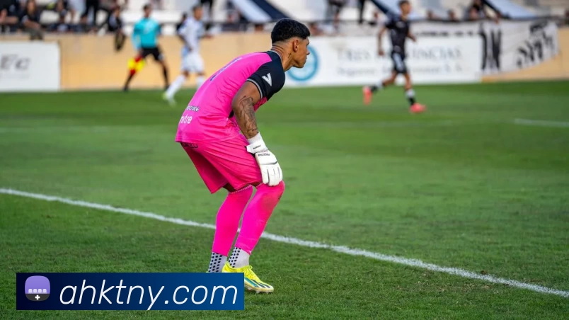 华体会官方平台生态图