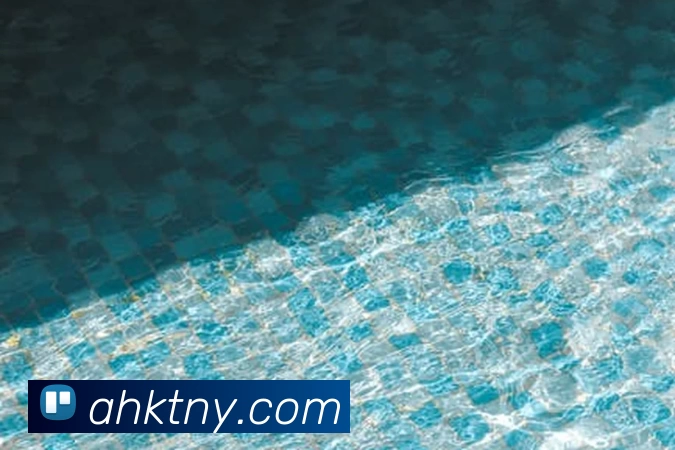 华体会官方全站App